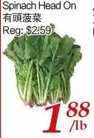 Tone Tai Supermarket Spinach head on offer