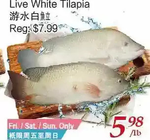 Tone Tai Supermarket Live white tilapia offer