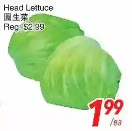 Foody World Head lettuce offer