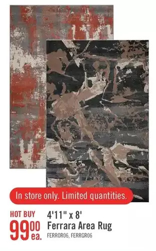 The Brick 4'11 x 8' ferrara area rug offer