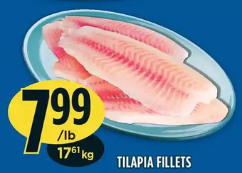 Marché Adonis Tilapia fillets offer