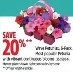 Canadian Tire Wave Petunias, 6-Pack. Most popular Petunia with vibrant continuous blooms. 33-3588-6. offer