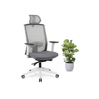 Best Buy Effydesk karmachair best ergonomic office chair with adjustable lumbar-support and mesh back (white) offer