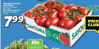 IGA SAVOURA TOMATES ROUGES SUR VIGNE 1,8kg offer