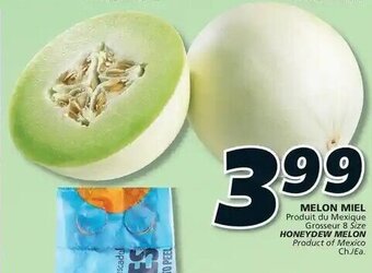 IGA MELON MIEL Grosseur 8 Size offer