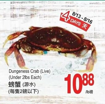 T&T Supermarket Dungeness crab (live) offer