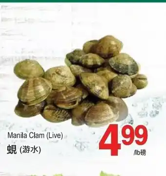 T&T Supermarket Manila clam (live) offer