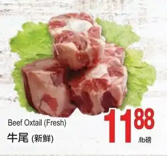 T&T Supermarket Beef oxtail (fresh) offer