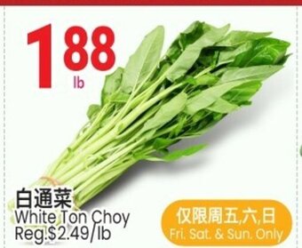 SunFood Supermarket White ton choy offer