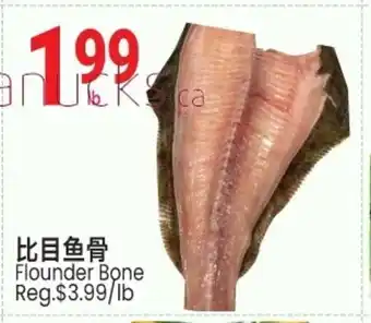 Flounder bone