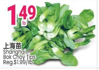 SunFood Supermarket Shanghai bok choy tips offer