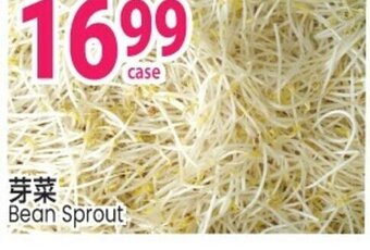 SunFood Supermarket Bean sprout offer