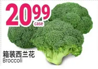Broccoli