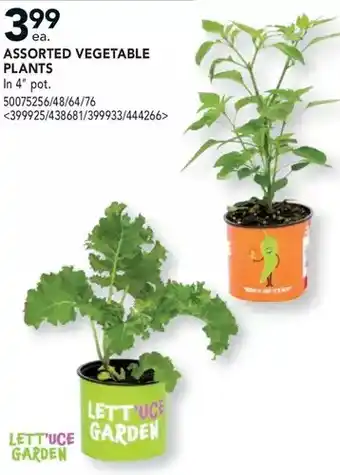Lowe's Lett'uce garden vegetable plants offer