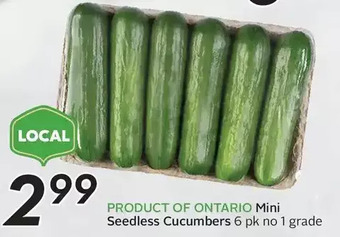 Sobeys Mini seedless cucumbers offer