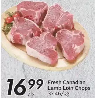Sobeys Fresh canadian lamb loin chops offer