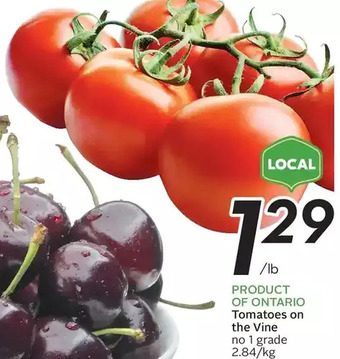 Sobeys Tomatoes on the vine offer