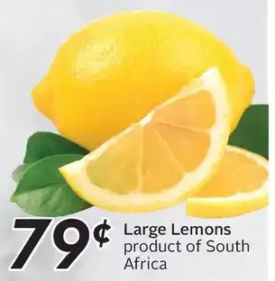 Sobeys Large lemons offer