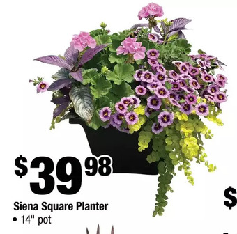 Siena square planter