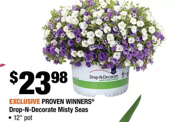Home Depot Proven winners drop-n-decorate misty seas offer