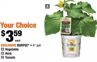 Home Depot Burpee - vegetable offer