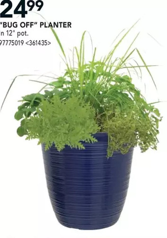 RONA Bug off planter offer