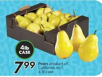 Sobeys Pears offer