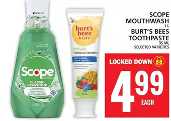 Food Basics Scope mouthwash | burt's bees toothpaste offer