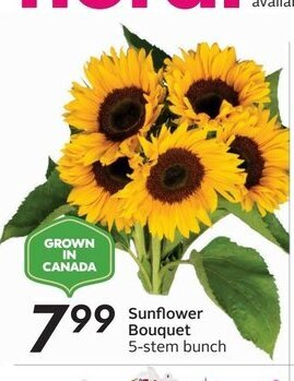 Sobeys Sunflower Bouquet offer