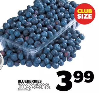 Real Canadian Superstore Blueberries offer