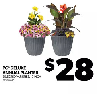 Real Canadian Superstore Pc deluxe annual planter offer