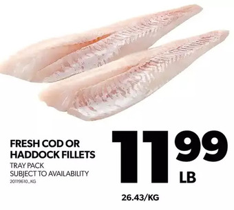 Real Canadian Superstore Fresh cod or haddock fillets offer