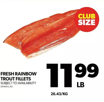Real Canadian Superstore Fresh rainbow trout fillets offer