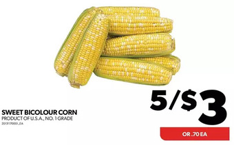 Real Canadian Superstore Sweet bicolour corn offer