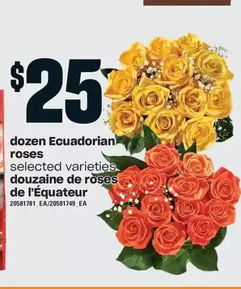 Independent Grocer Dozen ecuadorian roses offer