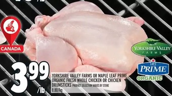 Metro Yorkshire valley farms or maple leaf prime organic fresh whole chicken or chicken drumsticks offer