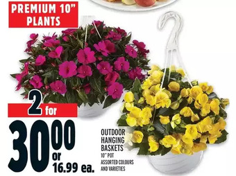 Metro Outdoor hanging baskets offer