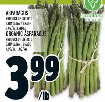 Metro Asparagus | organic asparagus offer