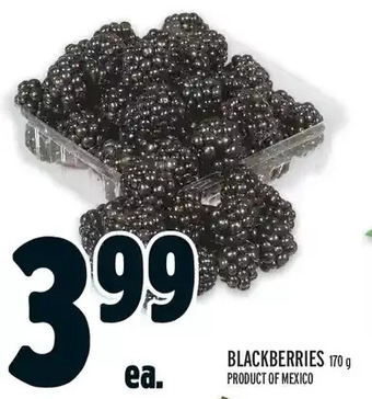 Metro Blackberries offer