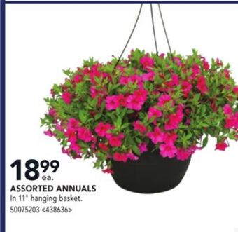Lowe's Assorted annuals offer