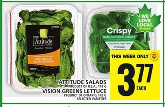 Food Basics Attitude salads or vision greens lettuce offer