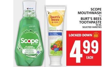 Food Basics Scope mouthwash or burt's bees toothpaste offer