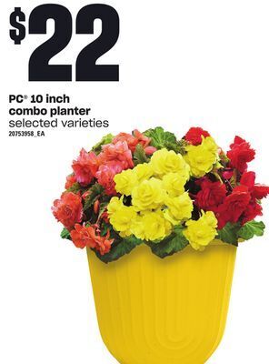 Loblaws Pc 10 inch combo planter offer