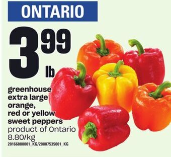 Loblaws Greenhouse extra large orange, red or yellow sweet peppers offer