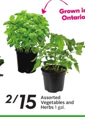 Sobeys Assorted vegetables and herbs offer
