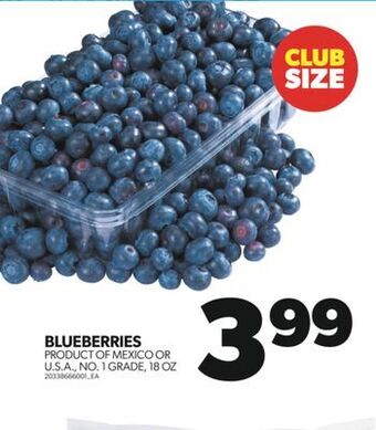 Real Canadian Superstore Blueberries, 18 oz offer