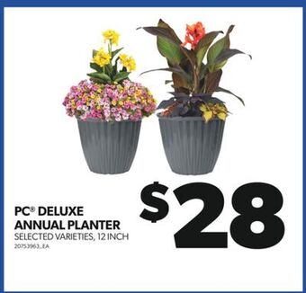 Real Canadian Superstore Pc® deluxe annual planter, 12 inch offer
