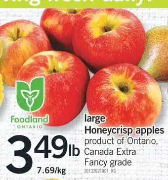 Fortinos Large honeycrisp apples, 7.69/kg offer