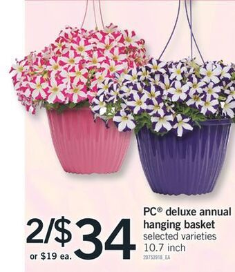 Fortinos Pc® deluxe annual hanging basket, 10.7 inch offer