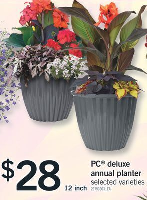 Fortinos Pc® deluxe annual planter, 12 inch offer